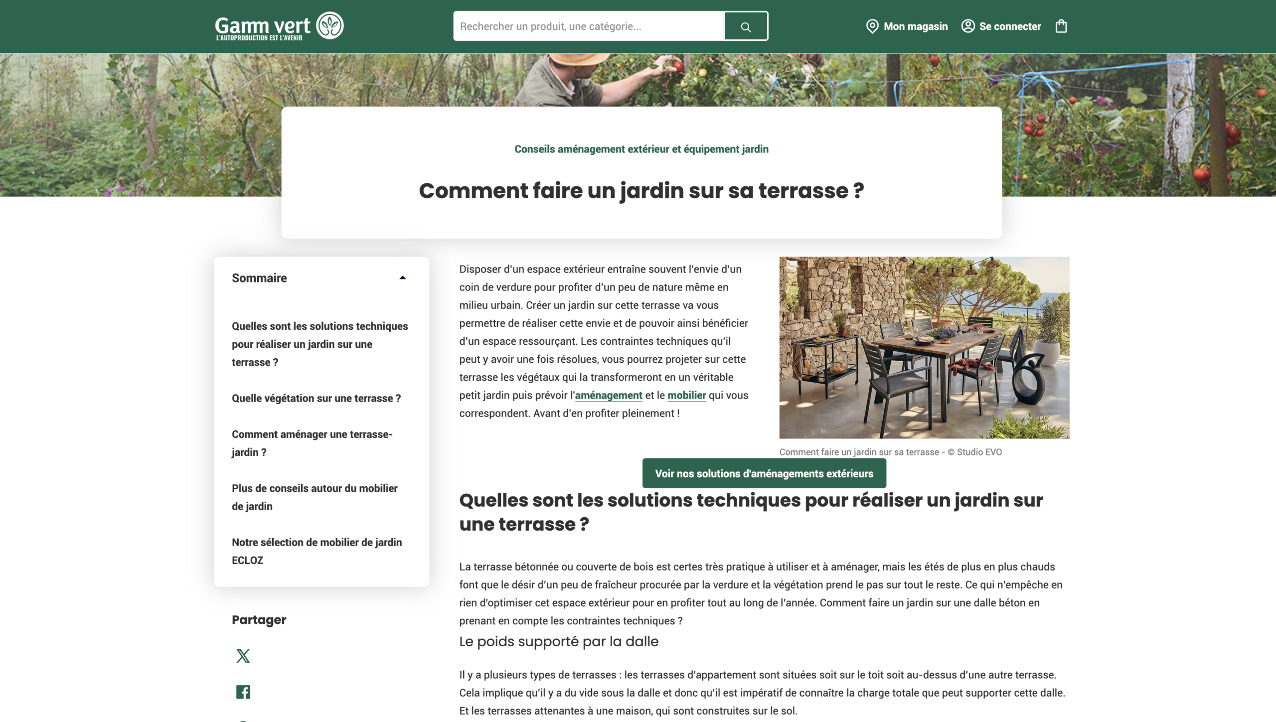 Blog d'entreprise Gamm Vert - exemple stratégie de contenu jardinerie